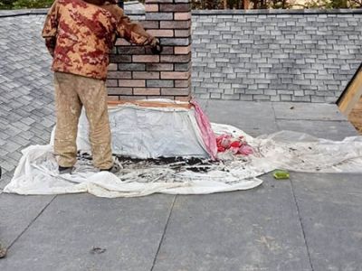 whatsapp image 2022 11 28 at 18.22.56  1 