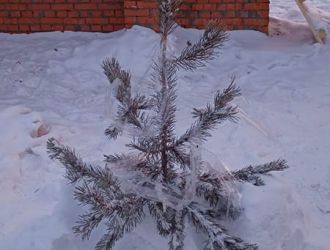 whatsapp image 2022 11 28 at 18.23.21  1 