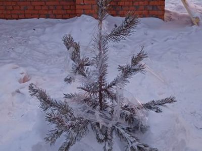 whatsapp image 2022 11 28 at 18.23.21  1 